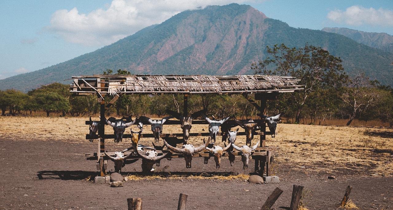 Dashboard style illustration for modern blog architecture